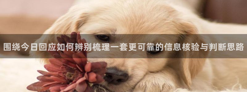 51吃瓜入口页面