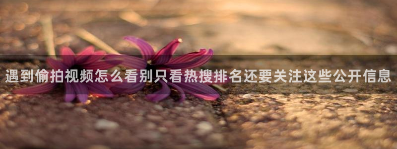 吃瓜热搜榜