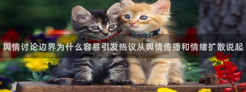最新网络事件：舆情讨论边界为什么容易引发热议从舆情传播和情绪扩散说起