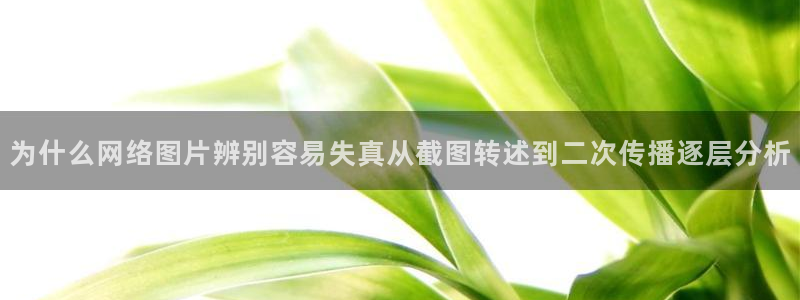 51吃瓜热点动态:为什么网络图片辨别容易失真从截图转述到二次传播逐层分析
