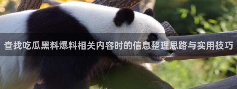51吃瓜网络话题:查找吃瓜黑料爆料相关内容时的信息整理思路与实用技巧