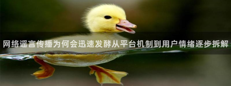 吃瓜事件动态